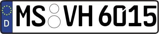 MS-VH6015