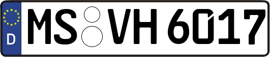 MS-VH6017