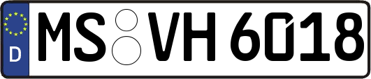 MS-VH6018