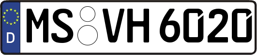 MS-VH6020