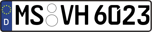MS-VH6023