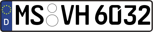 MS-VH6032