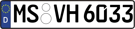 MS-VH6033