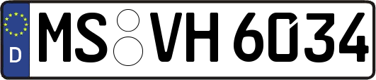 MS-VH6034