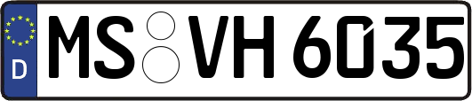 MS-VH6035