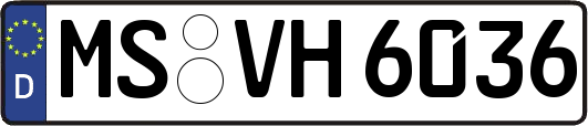 MS-VH6036