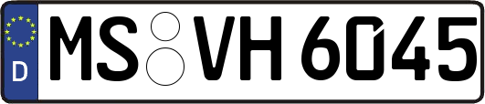 MS-VH6045