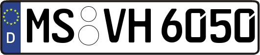 MS-VH6050
