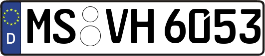 MS-VH6053