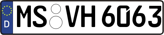 MS-VH6063