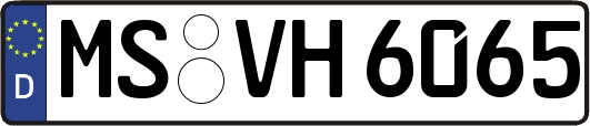 MS-VH6065