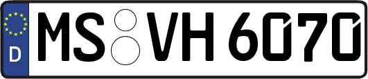 MS-VH6070