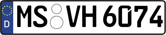 MS-VH6074
