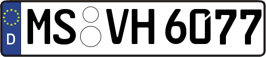 MS-VH6077