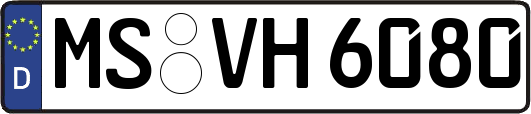 MS-VH6080