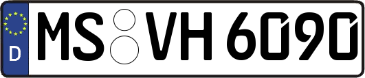 MS-VH6090