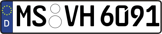 MS-VH6091