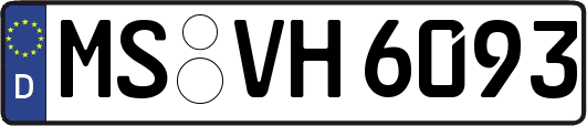 MS-VH6093
