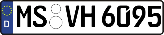 MS-VH6095