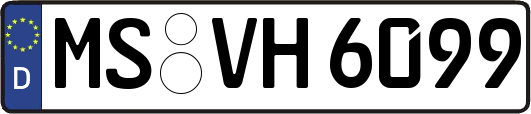 MS-VH6099