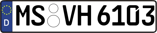 MS-VH6103
