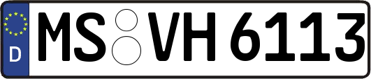 MS-VH6113