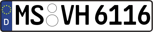 MS-VH6116