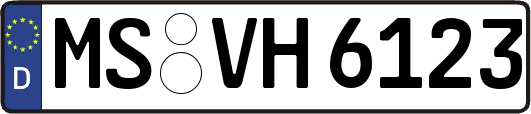 MS-VH6123