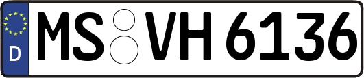 MS-VH6136