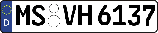 MS-VH6137