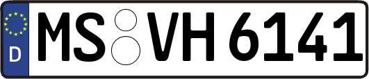 MS-VH6141