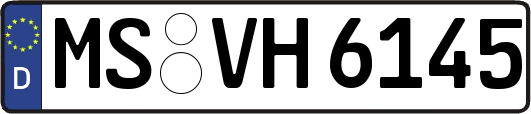 MS-VH6145