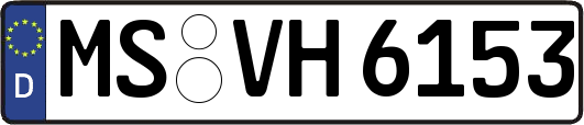 MS-VH6153
