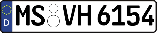 MS-VH6154