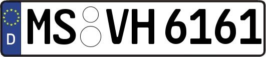 MS-VH6161