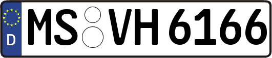 MS-VH6166