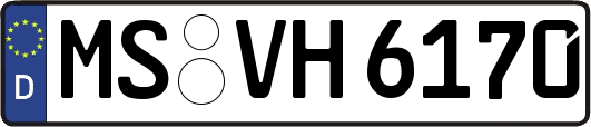 MS-VH6170