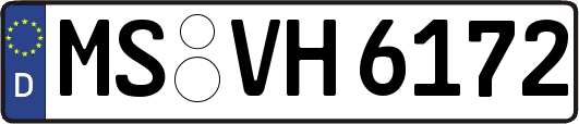 MS-VH6172