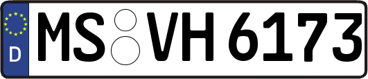 MS-VH6173