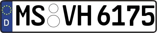 MS-VH6175