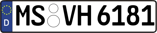 MS-VH6181