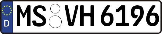 MS-VH6196