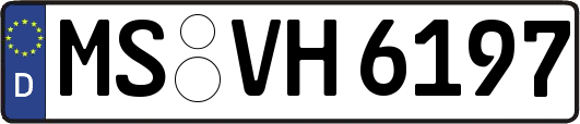 MS-VH6197