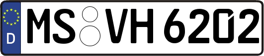 MS-VH6202