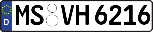 MS-VH6216