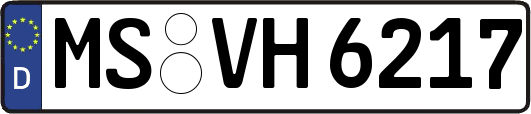 MS-VH6217