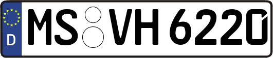 MS-VH6220