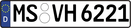 MS-VH6221