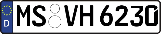 MS-VH6230