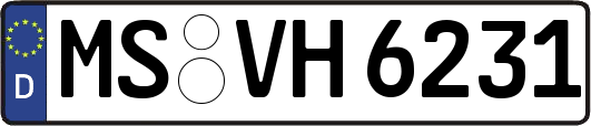 MS-VH6231